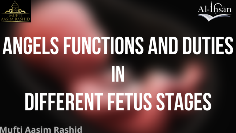 Angels Functions and Duties in Different Fetus Stages